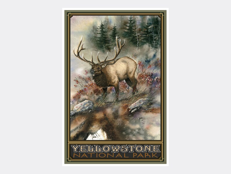 Yellowstone National Park Ridge Runner Elk Giclee Art Print Poster from Original Watercolor by Artist Dave Bartholet