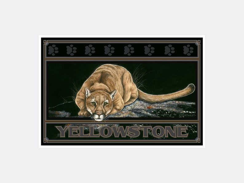 Silent Night Cougar Yellowstone National Park Giclee Art Print Poster from Original Watercolor by Artist Dave Bartholet