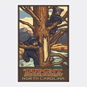 Dupont State Forest North Carolina Two Bear Cubs Giclee Art Print Poster from Travel Artwork by Artist Paul A. Lanquist