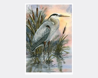 First Light Blue Heron Giclee Art Print Poster from Watercolor by Artist Dave Bartholet