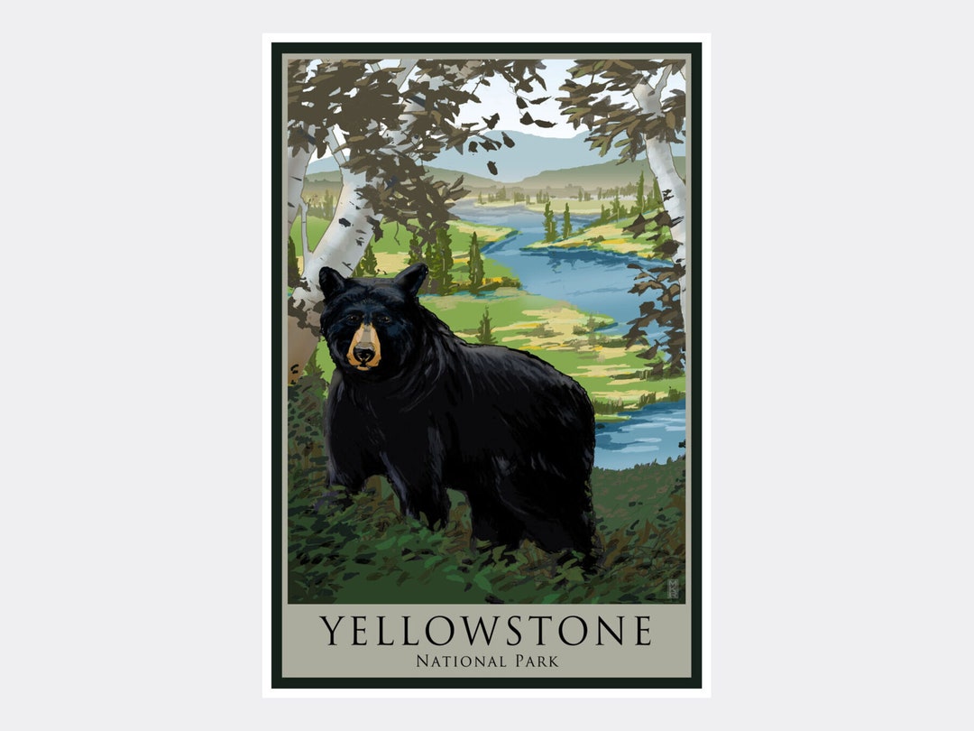 Yellowstone National Park Black Bear Trees Giclee Art Print Etsy Australia