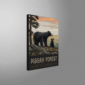 Pisgah Forest North Carolina Black Bear Family Stretch Canvas, Pillow, Blanket from Travel Artwork by Artist Paul A. Lanquist