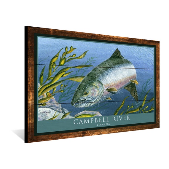Campbell River Canada King Salmon Giclee Art Print Poster From