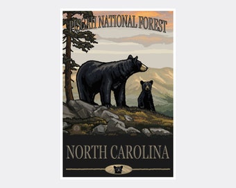 May include: A vintage-style poster featuring a black bear and cub in a forest setting. The poster reads "Pisgah National Forest" and "North Carolina".