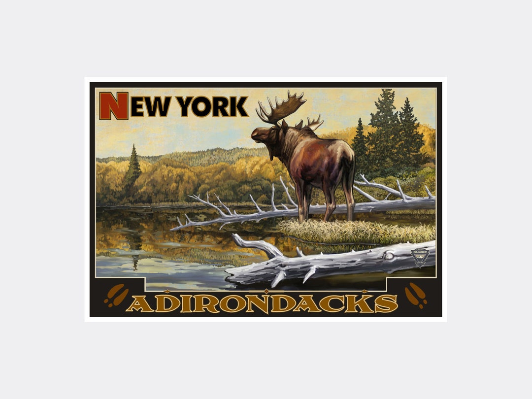 New York Adirondacks Bull Moose Giclee Art Print Poster from