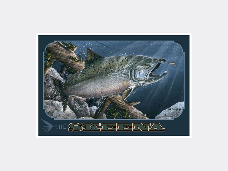 The Skeena River British Columbia Canada Salmon Giclee Art Print Poster from Original Watercolor by Artist Dave Bartholet