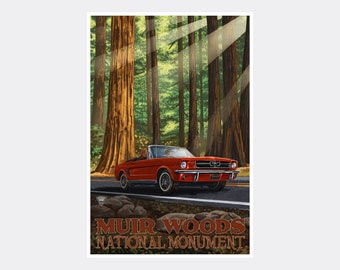 Muir Woods National Monument Giclee Art Print Poster from Travel Artwork by Artist Paul A. Lanquist