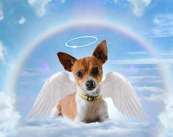 Dog Rainbow Bridge Personalized Custom Picture with Angel Wings, Deceased Pet Dog Rainbow Bridge Angel Wings, Custom Pet Memorial Picture