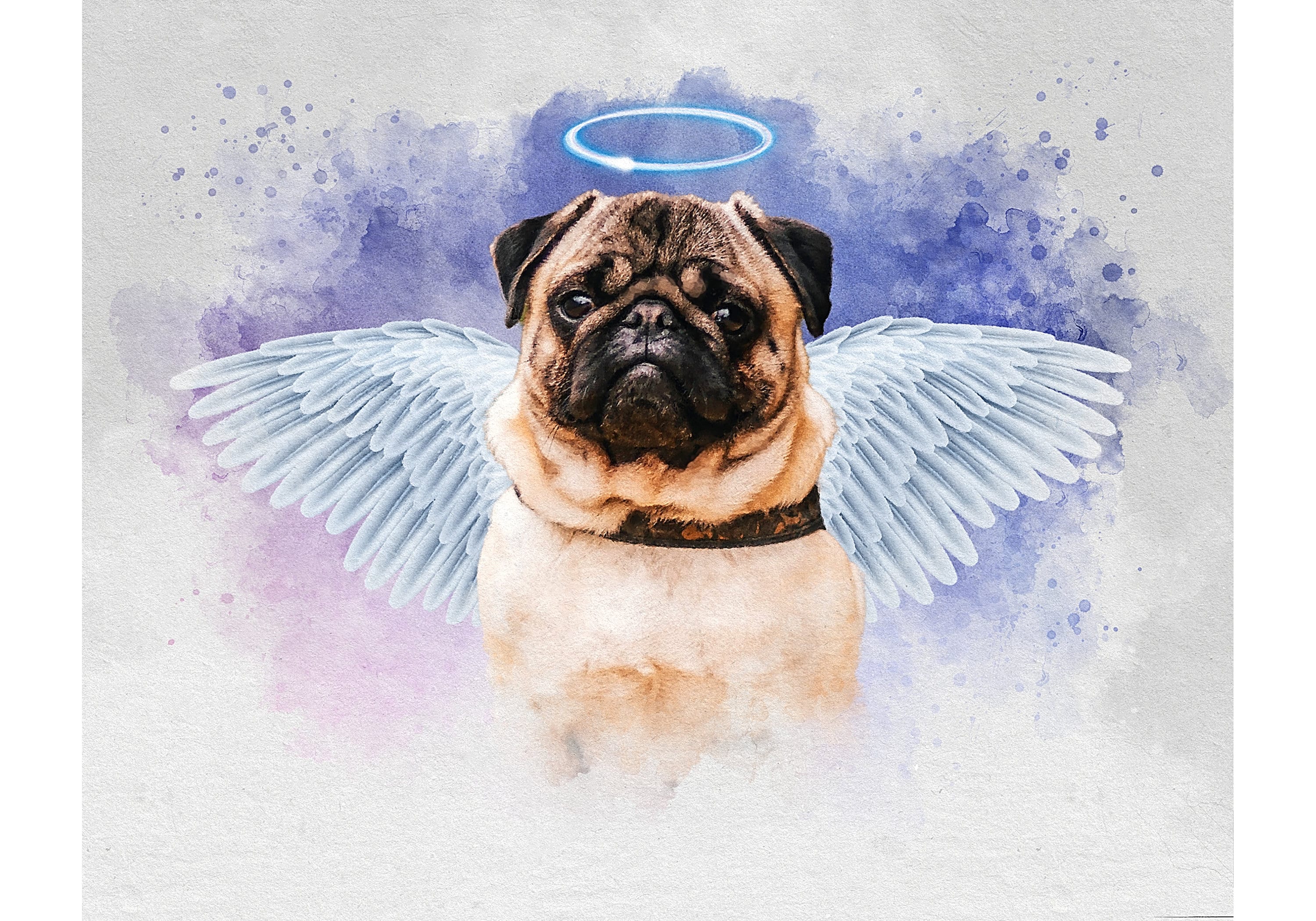 Add Angel Wings to Pet, Dog Loss Portrait With Angel Wings, Custom Pet ...