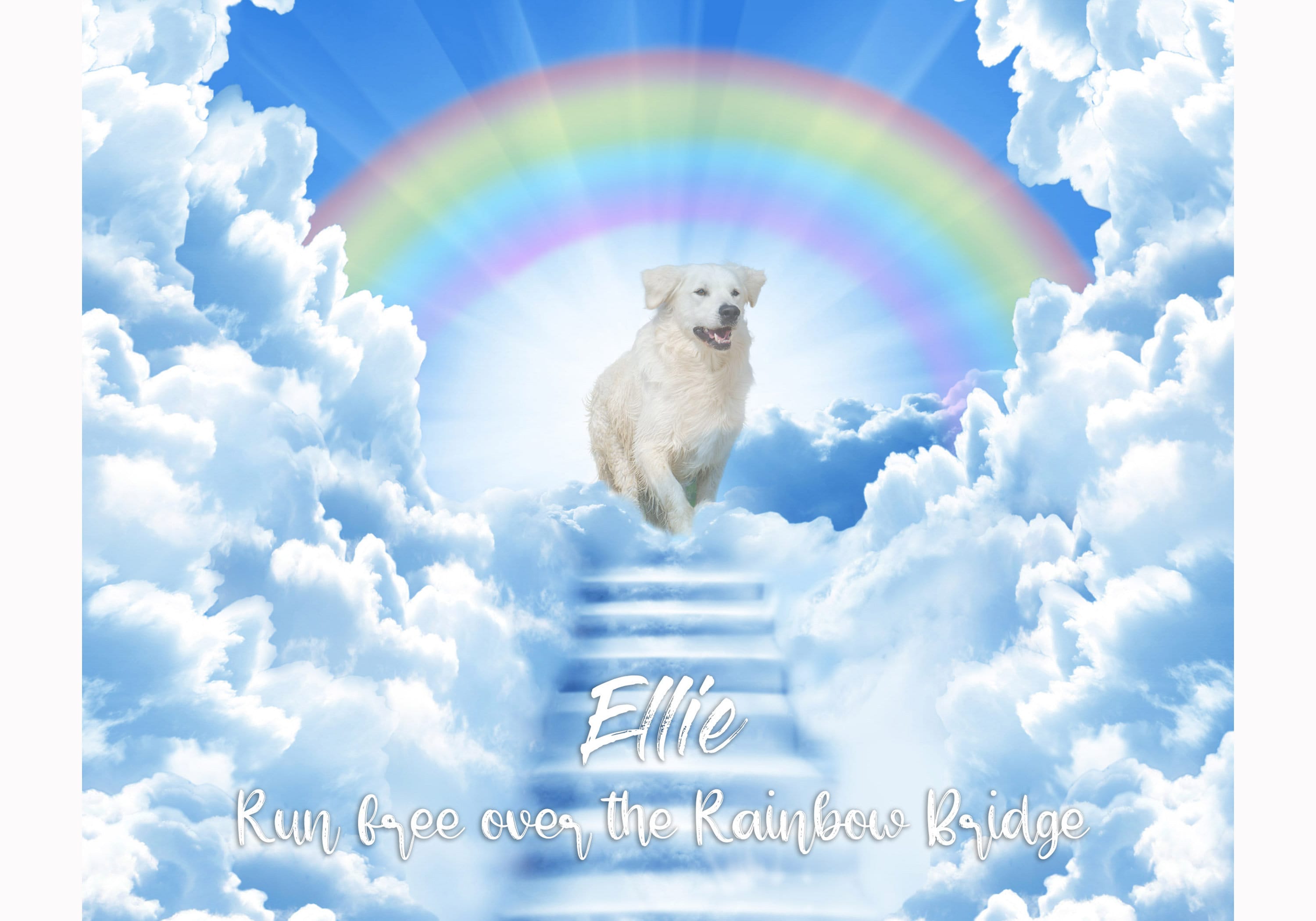D-Viou$ – All Dogz Go To Heaven Amazon.com: All Dogs Go to Heaven [Blu-ray] : Burt Reynolds