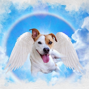Pet Loss Gift, Pet Memorial Angel Wing Print, Dog Memorial Gift, Pet Sympathy Gift, Rainbow Bridge Print, Pet Loss Angel Wings Custom Print