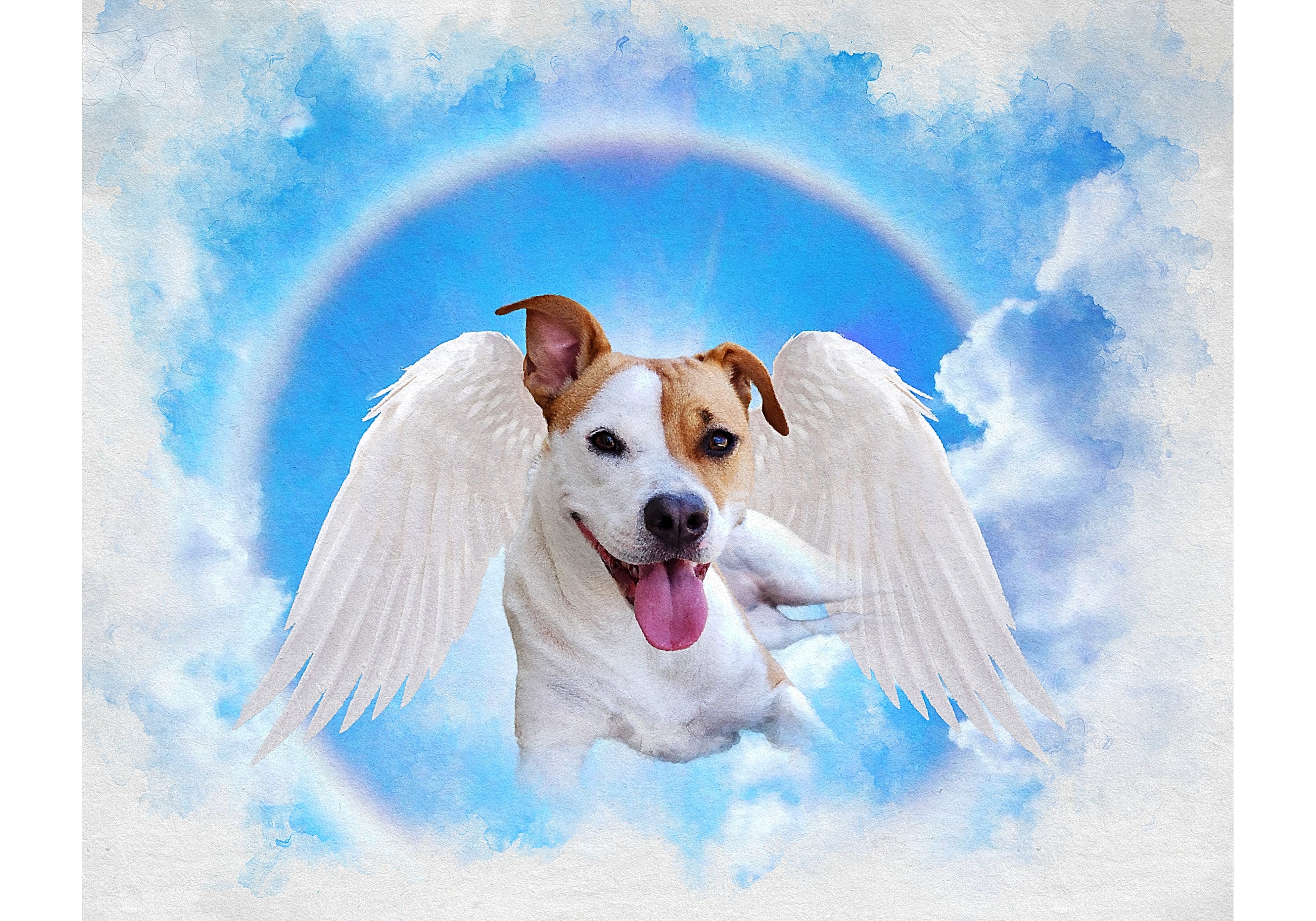 虹の橋の天使の羽を持つペットの肖像画：カスタムメイドの犬の
