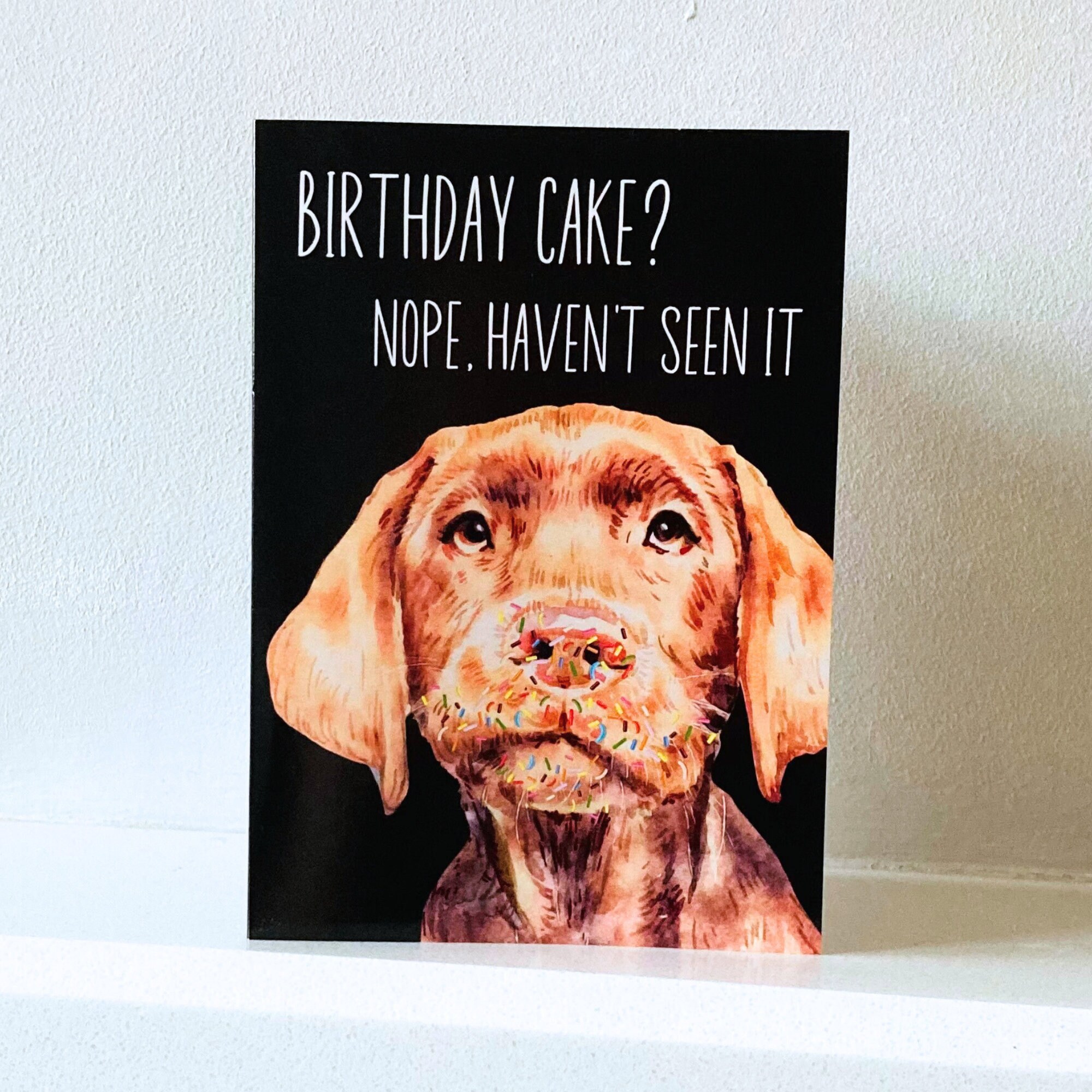 Funny Birthday Card From the Dog - Etsy UK