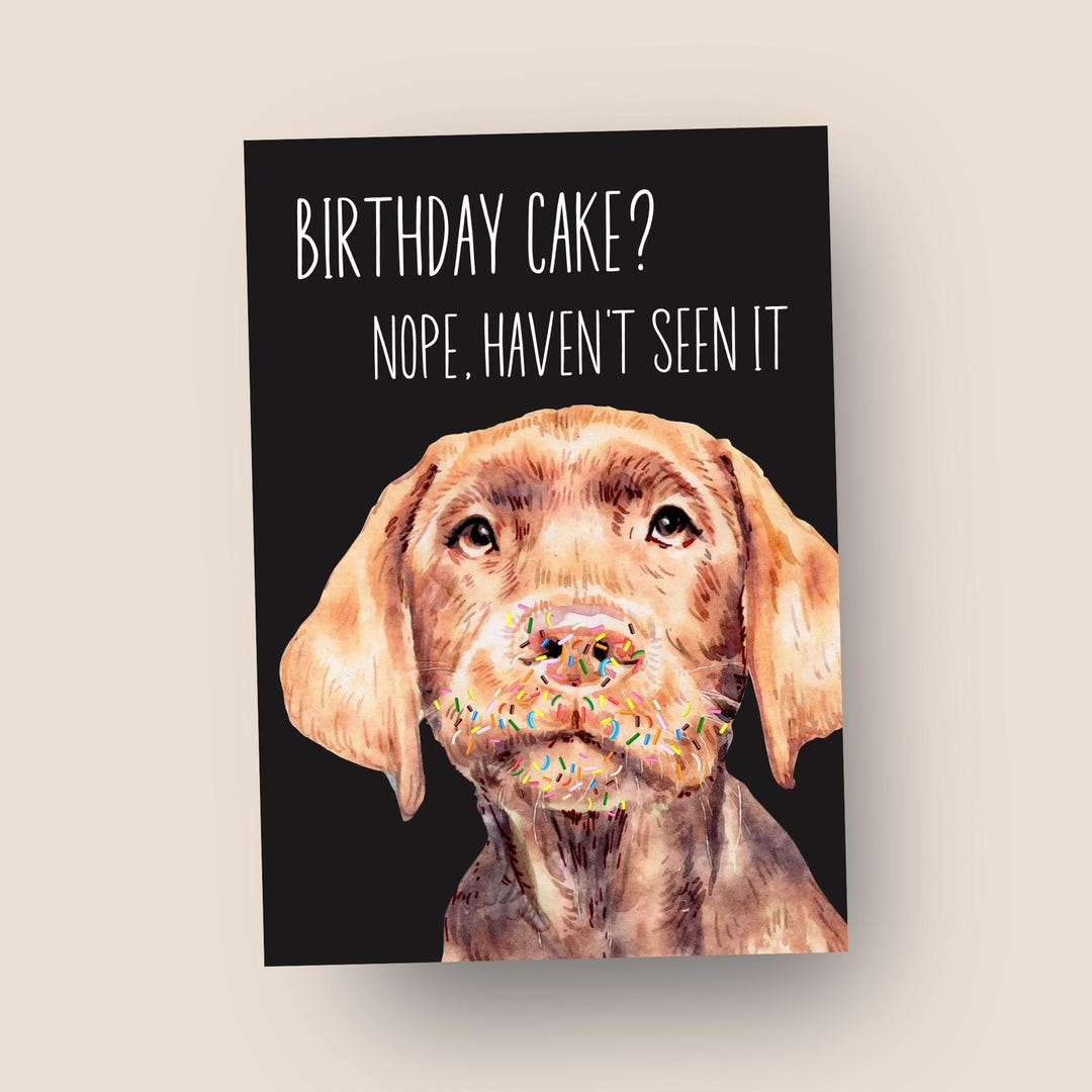 Funny Birthday Card From the Dog - Etsy UK