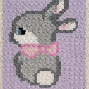 C2C Baby Blanket - Bunny