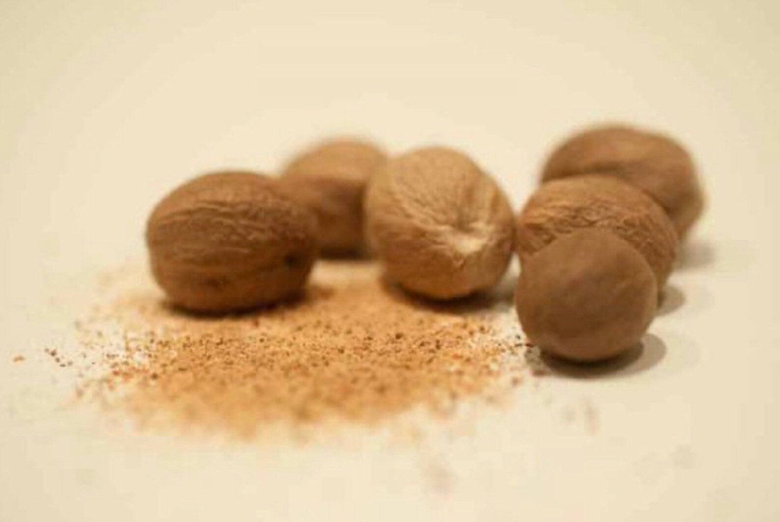 Whole Nutmeg from Sri Lanka Nutmeg Myristica fragrans Etsy