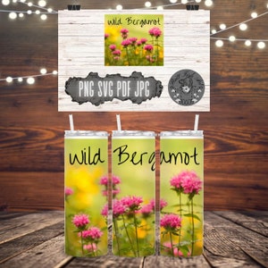 Wild Bergamot 20oz Tumbler Wrap Design | Herbal Tea | Medicinal Herbs | Sublimination | Cricut | digital design files