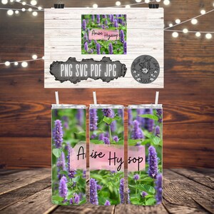Anise Hyssop 20oz Tumbler Wrap | Herbal Tea | Medicinal Herbs | Sublimination | Cricut | Digital design files