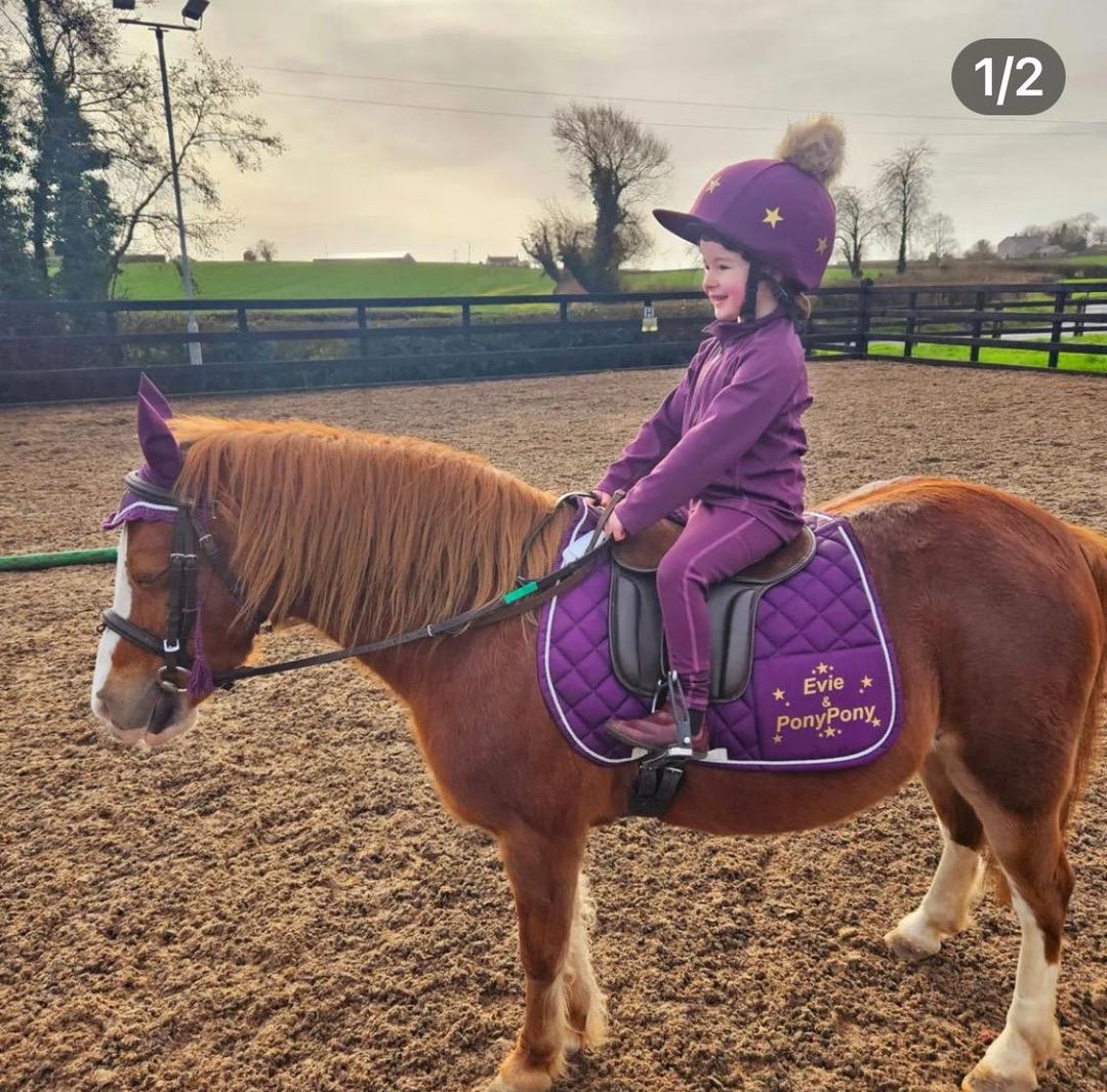 Set Sottosella Marrone Numnah - Per Cavallo, Completo, Color Marrone Set Sottosella Matchy Fly Veil