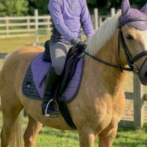May include: A young equestrian on a palomino horse, wearing a purple riding shirt, gray breeches, and a patterned helmet. The horse has a purple saddle pad and matching ear bonnet. The scene is set outdoors with a green background.