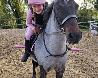 Equestrian Full Matchy Set in Dusty Pink - Baselayer, Riding Tights, Personalised Saddle Pad, Fly Veil, Hat Silk Long & Short Sleeves