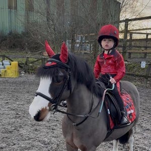 Kids Pony Riding Set Children's Spider-Man Equestrian Set - Base Layer, Leggings, Saddle Pad Hat & Ear Net - Optional Front Brushing Boots. image 1