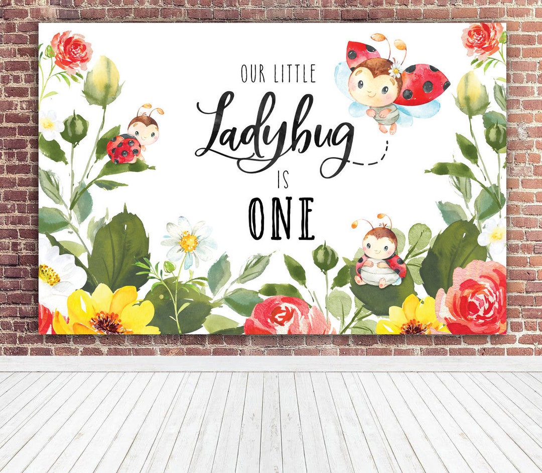 Ladybug Backdrop, Little Ladybug, Our Sweet Little Lady, Love Bug ...