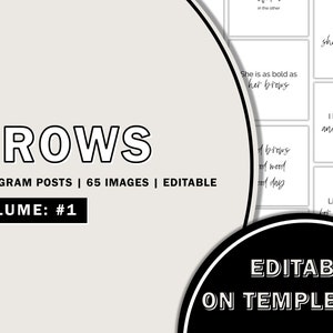 Brow Artist Instagram Post Templates, Brows Instagram Posts, Brows Editable Posts, Instagram DIY Editable Template