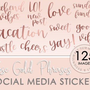 125 Rose Gold Words and Phrases Instagram Story Stickers, Rose Gold Instagram Engagement, Instagram Posts, Instagram Branding Rose Gold image 1