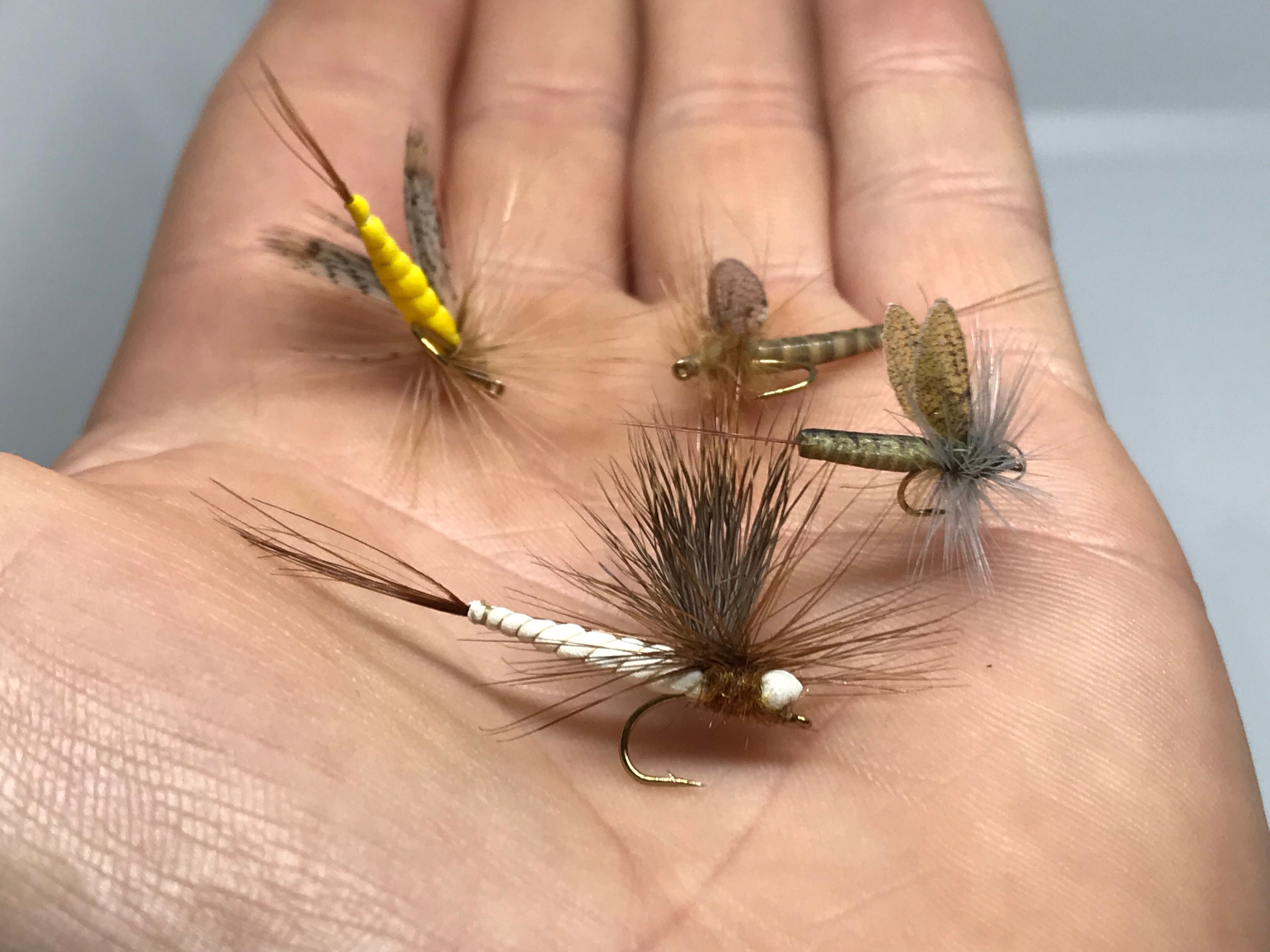 Realistic Fly Fishing Foam Dry Fly Mayflies Set 7 Trout Love Etsy