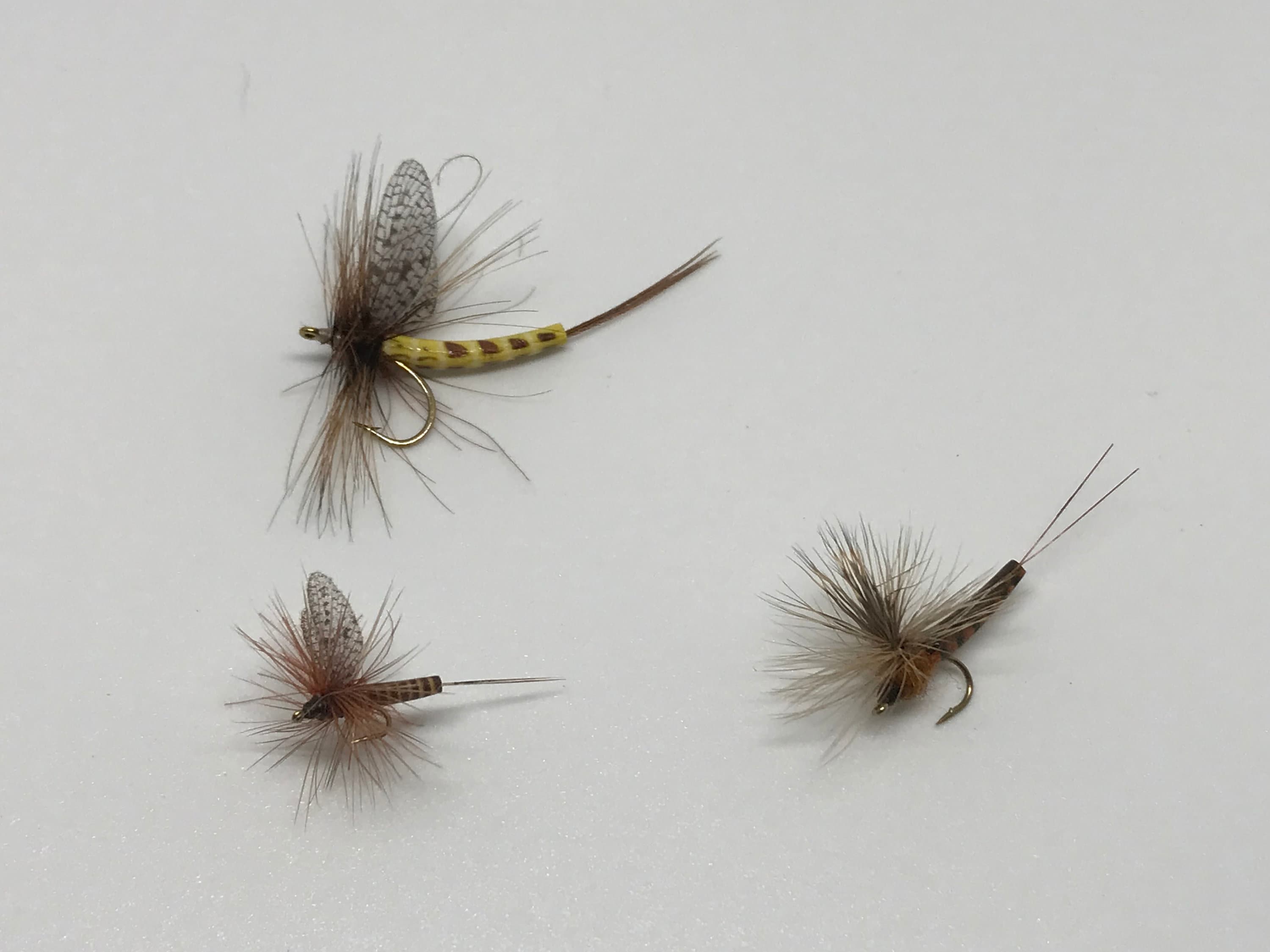 Realistic Fly fishing Foam Dry Fly Mayflies Set 4 Trout Love Etsy