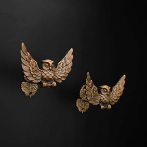May include: Two bronze-coloured metal wall hooks shaped like owls with wings spread wide. Each owl is perched next to a small, textured leaf-shaped element. The metallic finish shows detailed feather textures and dark shading in the crevices.