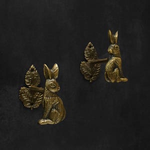 May include: Two brass-toned wall hooks, each depicting a seated rabbit holding a leaf. The hooks are set against a dark backdrop, highlighting the detailed design and warm metallic finish. Perfect for adding a touch of nature to any room.