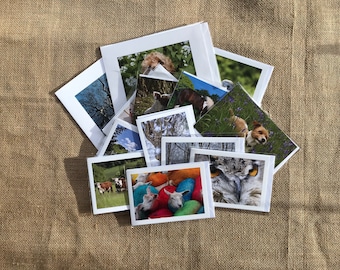 Pack of 20 mixed greetings cards, Quality photographic images on cards, Made in U.K.