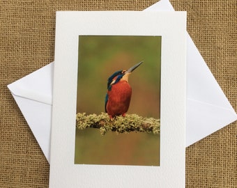 Card,greeting card, blank inside, happy birthday, celebration card, Kingfisher, British birds