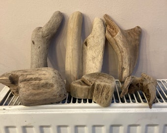 Driftwood pieces x 7 Welsh Coast # 5