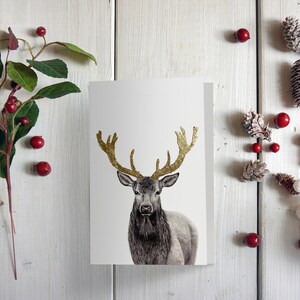 Hirsch Weihnachtskarte von Saskia Illustration