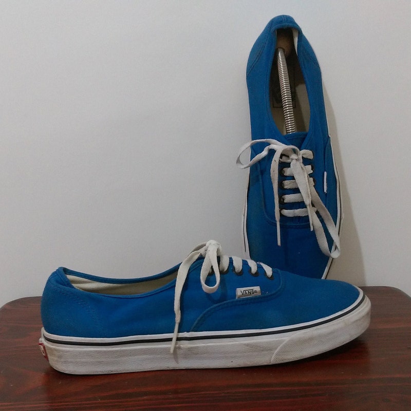 vans shoes mens 11