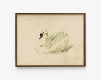 Mute Swan Painting, Digital Download, Aert Schouman Knobbelzwaan Printable, Vintage Nursery Wall Art, Housewarming Gifts, Farmhouse Decor