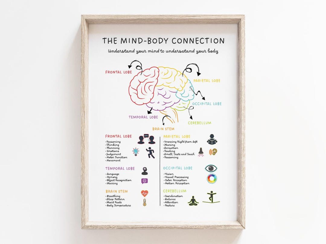 Mind And Body Connection Explained Worksheet.pdf The Mind Body Connection - Human Brain Anatomy Printable, Digital ...