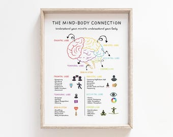 Op de afbeelding: Een ingelijste educatieve poster getiteld "THE MIND-BODY CONNECTION" met een kleurrijke illustratie van de hersenen. De poster toont de frontale, pariëtale, temporale en occipitale kwabben, hersenstam en cerebellum.