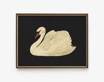 Mute Swan Malerei, digitaler Download, Aert Schouman Knobbelzwaan druckbare, Vintage Kinderzimmer Wandkunst, Bauernhaus Dekor, Housewarming Geschenke