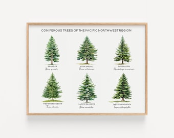 Nadelbäume der pazifischen Nordwestregion, Nordamerika-Baum zum Ausdrucken, pädagogische Wandkunst, digitaler Download, Förster-Geschenk