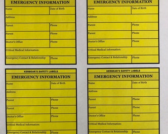 Blank Set of 4 Emergency Car Seat ID Labels