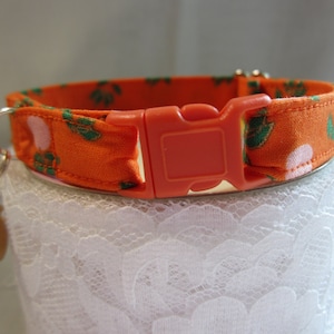 May include: Orange and white patterned cat collar with a pink and green floral design. The collar has an orange plastic buckle and a silver charm that says "I lost my love".