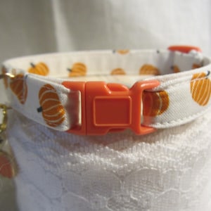 Tossed Pumpkins Cat Collar, Breakaway Buckle, Autumn Halloween Collar image 1