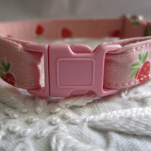 Purple Daisy Cat or Kitten Collar Flower Adjustable Daisies Etsy