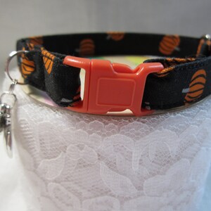 Tossed Pumpkins ( black) soft cat collar, Halloween cat collar, Autumn cat collar