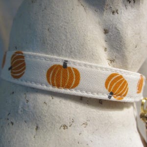 Tossed Pumpkins Cat Collar, Breakaway Buckle, Autumn Halloween Collar image 6
