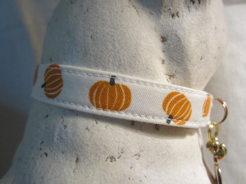 Tossed Pumpkins Cat Collar, Breakaway Buckle, Autumn Halloween Collar image 6
